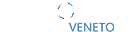 Drone Veneto Logo Small